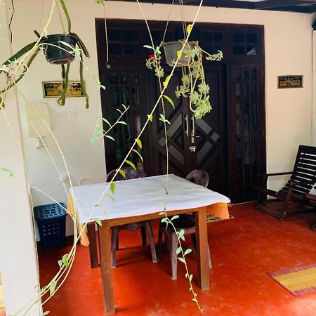 Little Cottage إيلا المظهر الخارجي الصورة