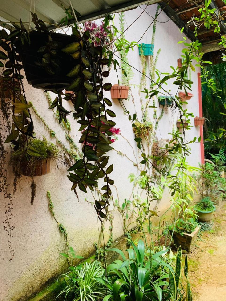 Little Cottage إيلا المظهر الخارجي الصورة