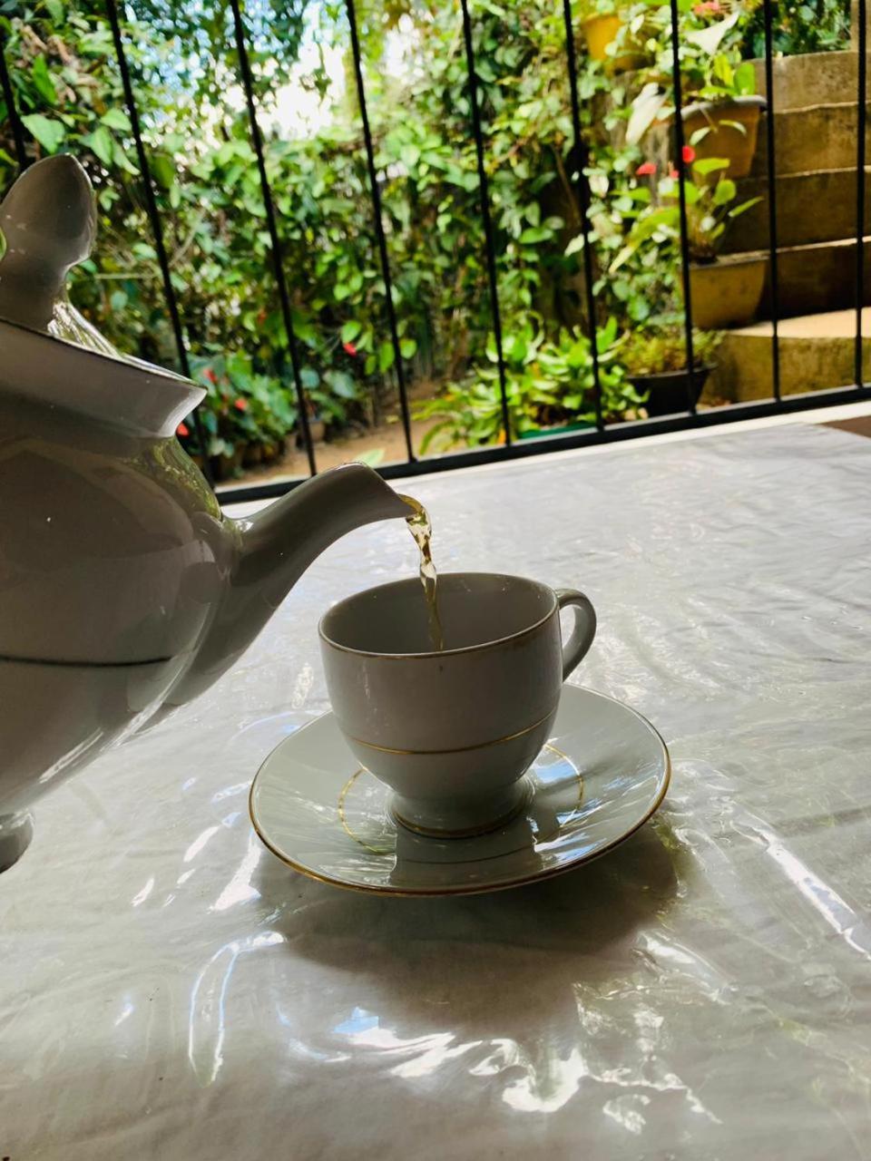 Little Cottage إيلا المظهر الخارجي الصورة