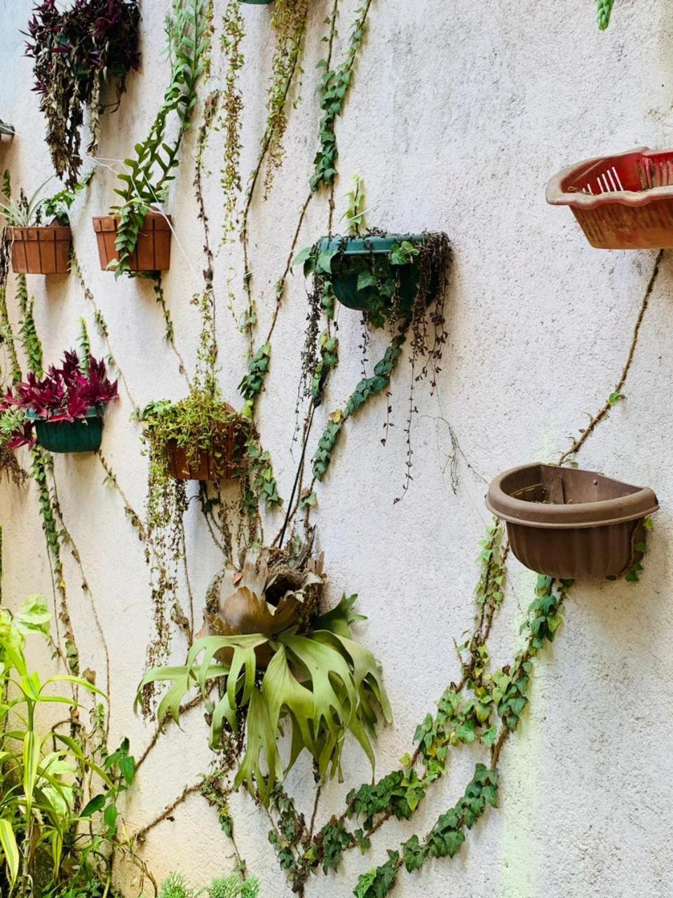 Little Cottage إيلا المظهر الخارجي الصورة