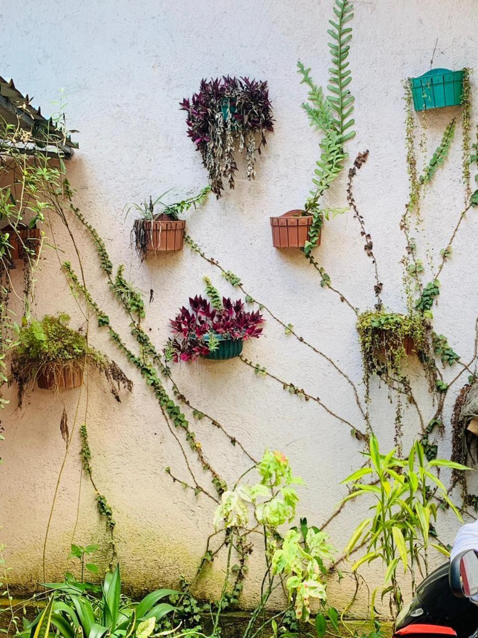 Little Cottage إيلا المظهر الخارجي الصورة