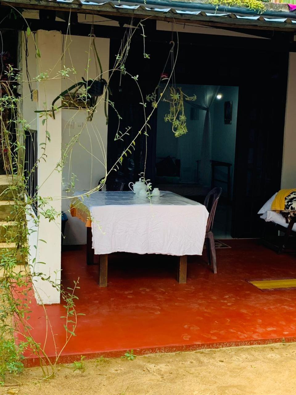 Little Cottage إيلا المظهر الخارجي الصورة