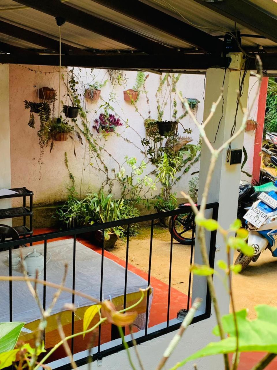 Little Cottage إيلا المظهر الخارجي الصورة