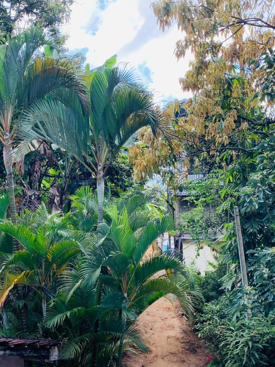Little Cottage إيلا المظهر الخارجي الصورة