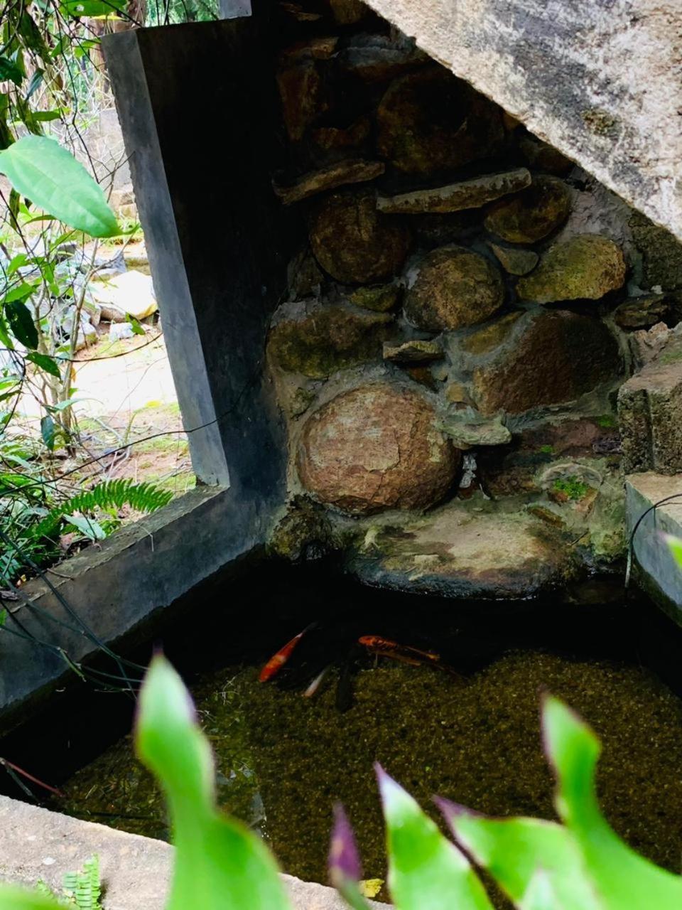 Little Cottage إيلا المظهر الخارجي الصورة